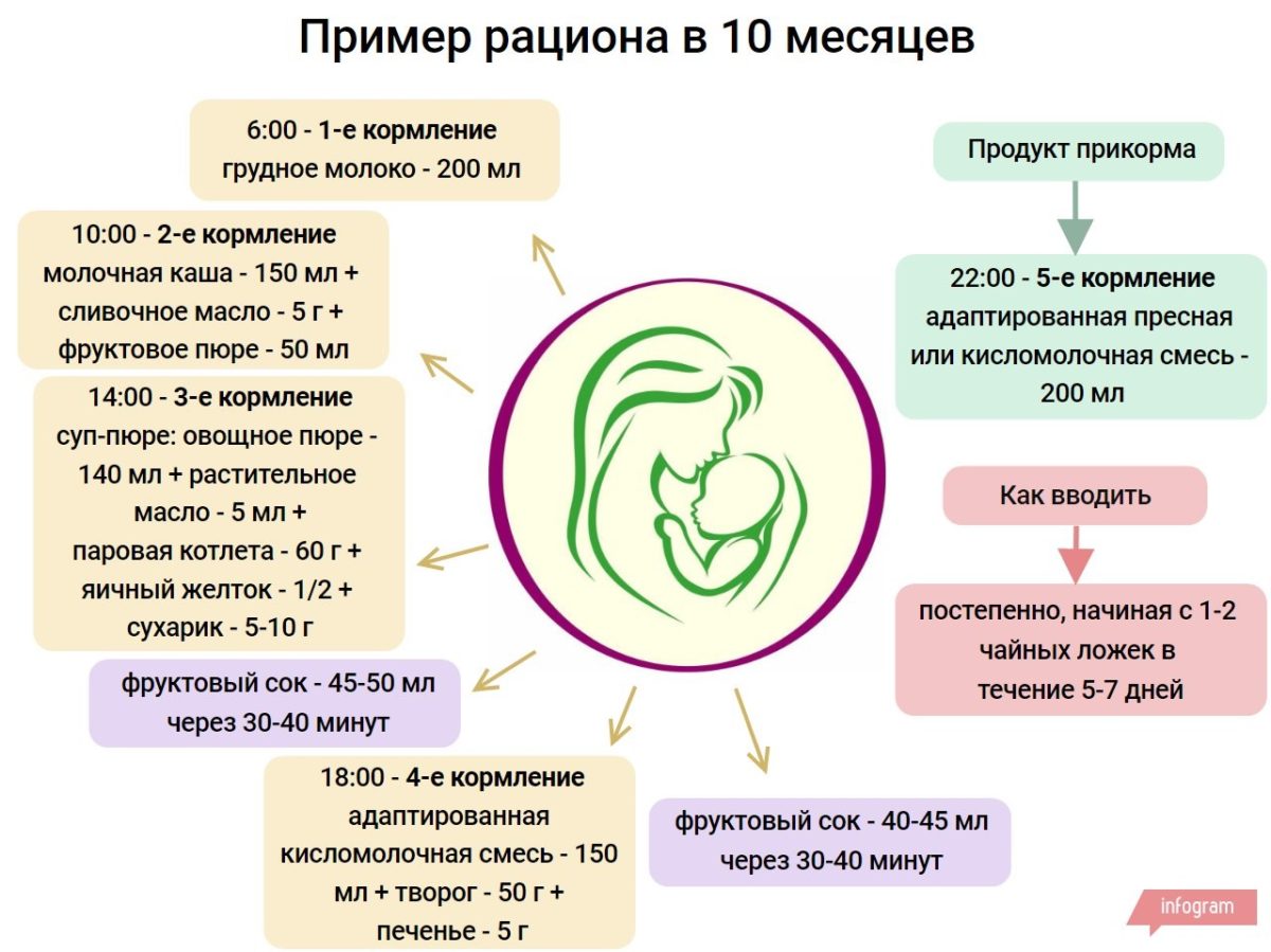 Правильное Питание Для 10 Месячного Ребенка